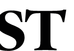 Suedwest-Presse-transparent